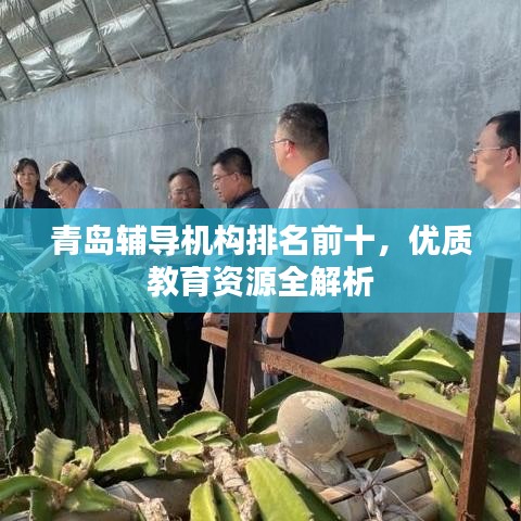雅人清致 第2页