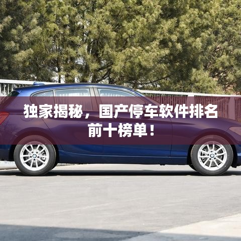 独家揭秘，国产停车软件排名前十榜单！