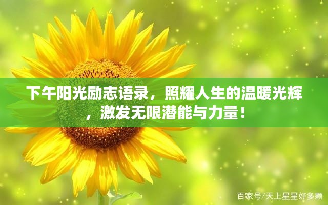 张皇失措 第2页