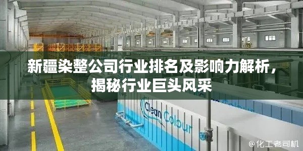 新疆染整公司行业排名及影响力解析，揭秘行业巨头风采