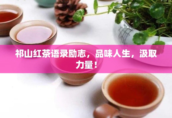 祁山红茶语录励志，品味人生，汲取力量！