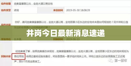 井岗今日最新消息速递