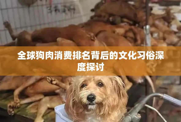 择善而从 第2页