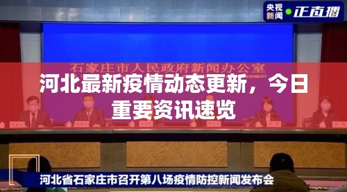 河北最新疫情动态更新，今日重要资讯速览