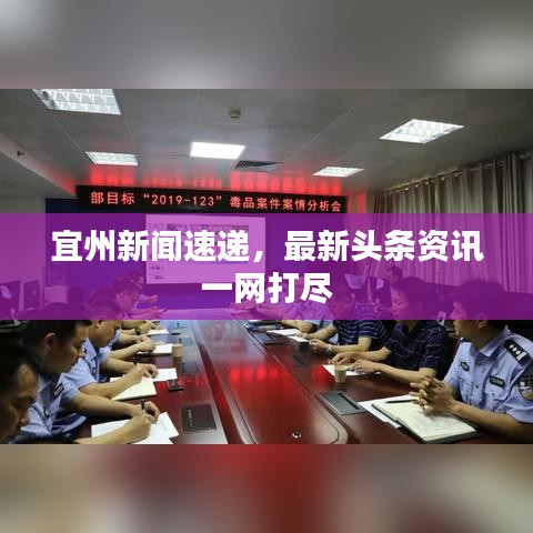 宜州新闻速递，最新头条资讯一网打尽