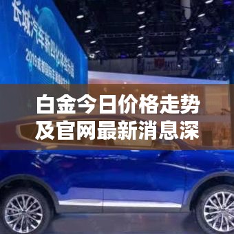 白金今日价格走势及官网最新消息深度解析