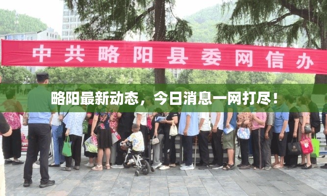 略阳最新动态，今日消息一网打尽！