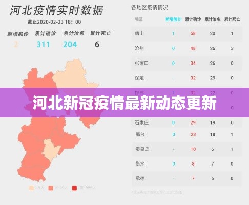 河北新冠疫情最新动态更新