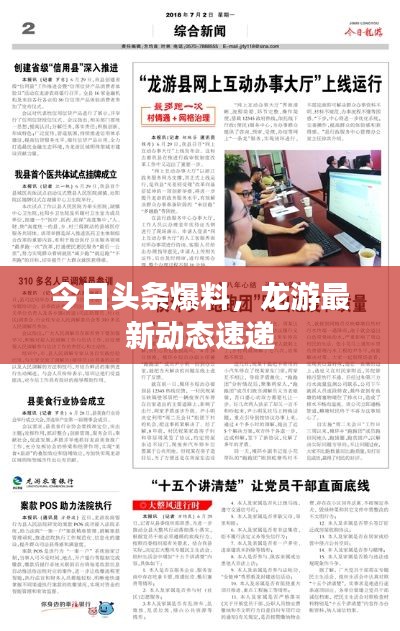今日头条爆料，龙游最新动态速递