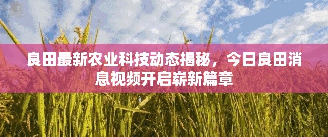 良田最新农业科技动态揭秘，今日良田消息视频开启崭新篇章