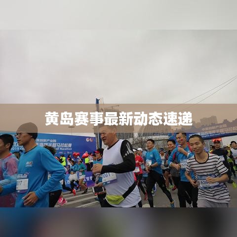 日就月将 第2页