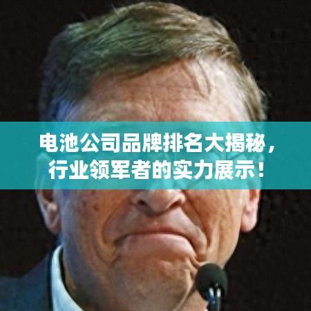 电池公司品牌排名大揭秘，行业领军者的实力展示！