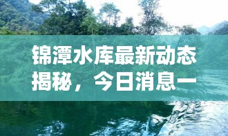 锦潭水库最新动态揭秘，今日消息一网打尽