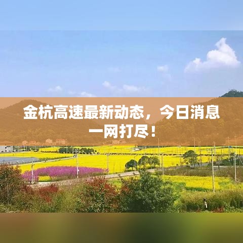 金杭高速最新动态，今日消息一网打尽！