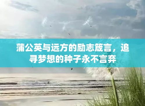 蒲公英与远方的励志箴言，追寻梦想的种子永不言弃