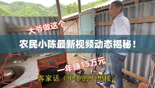 农民小陈最新视频动态揭秘！