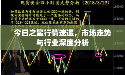 今日之星行情速递，市场走势与行业深度分析