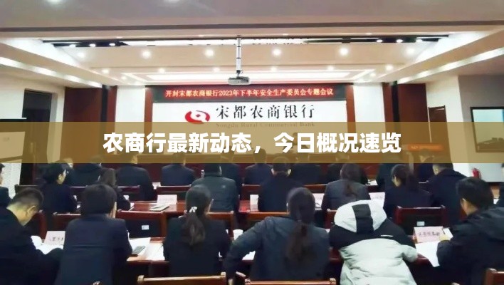农商行最新动态，今日概况速览