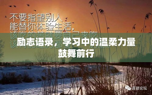 励志语录，学习中的温柔力量鼓舞前行