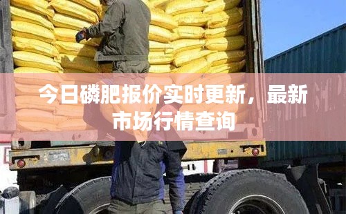 今日磷肥报价实时更新，最新市场行情查询