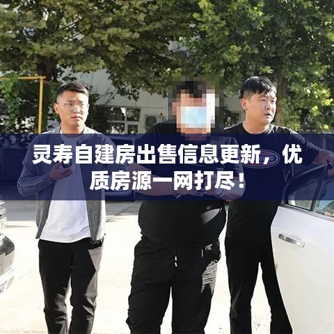 灵寿自建房出售信息更新，优质房源一网打尽！