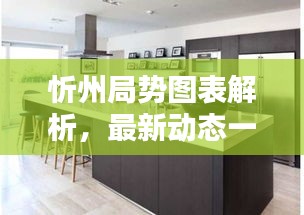 忻州局势图表解析，最新动态一目了然