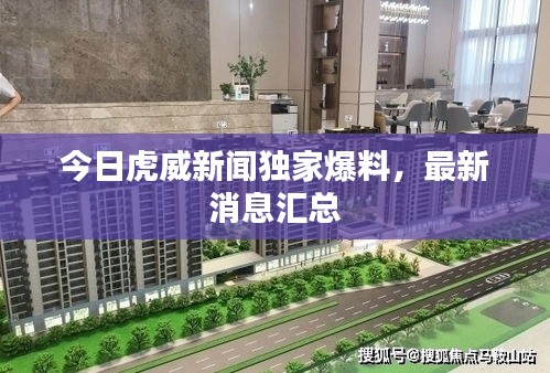 今日虎威新闻独家爆料，最新消息汇总