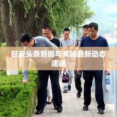 业务体系 第57页