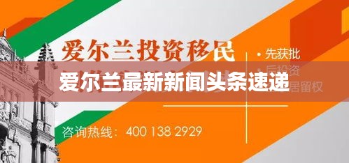 罗含梦鸟 第2页