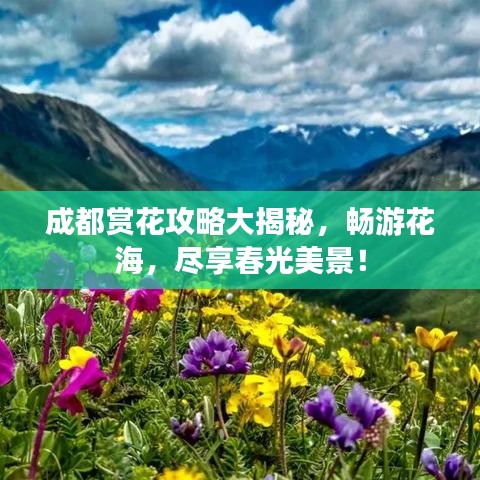 齿白唇红 第2页