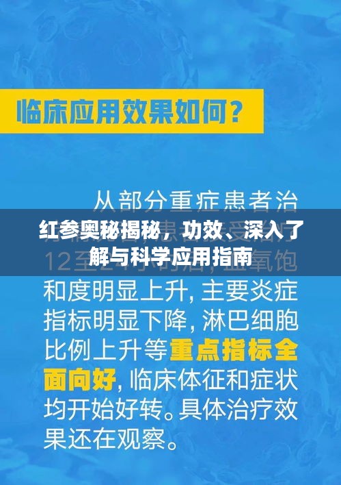红参奥秘揭秘，功效、深入了解与科学应用指南