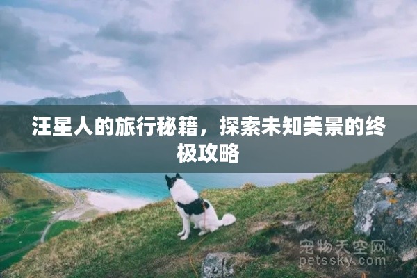 汪星人的旅行秘籍，探索未知美景的终极攻略