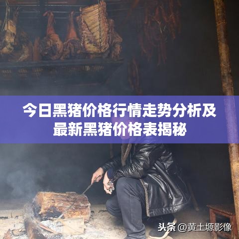 今日黑猪价格行情走势分析及最新黑猪价格表揭秘