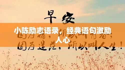 小陈励志语录，经典语句激励人心