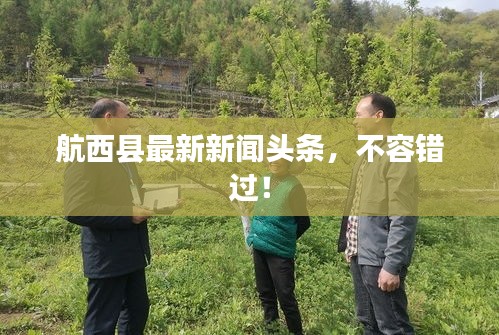 航西县最新新闻头条，不容错过！