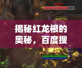 揭秘红龙根的奥秘，百度搜索带你探索未知世界