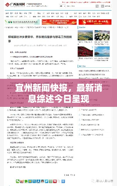 宜州新闻快报，最新消息综述今日呈现