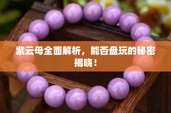 紫云母全面解析，能否盘玩的秘密揭晓！