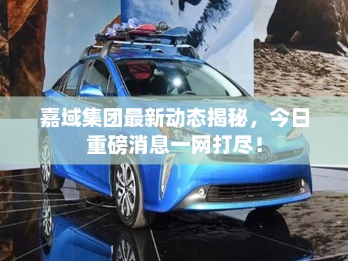 嘉域集团最新动态揭秘，今日重磅消息一网打尽！