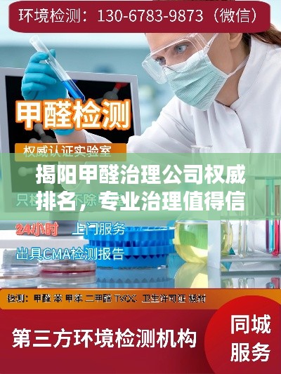 揭阳甲醛治理公司权威排名，专业治理值得信赖！
