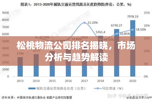 松桃物流公司排名揭晓，市场分析与趋势解读