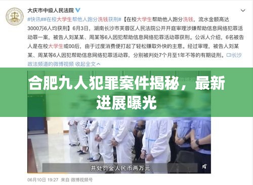 合肥九人犯罪案件揭秘，最新进展曝光