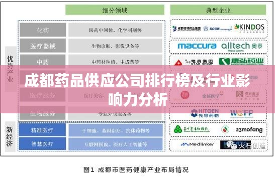 成都药品供应公司排行榜及行业影响力分析
