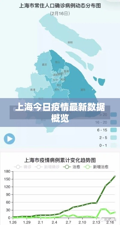 上海今日疫情最新数据概览