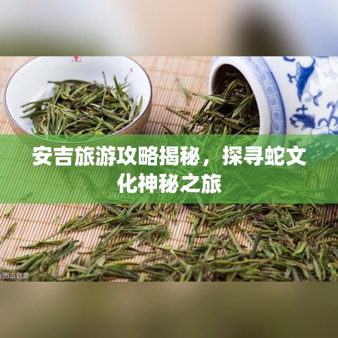 安吉旅游攻略揭秘，探寻蛇文化神秘之旅