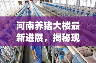 河南养猪大楼最新进展，揭秘现代化养殖新模式