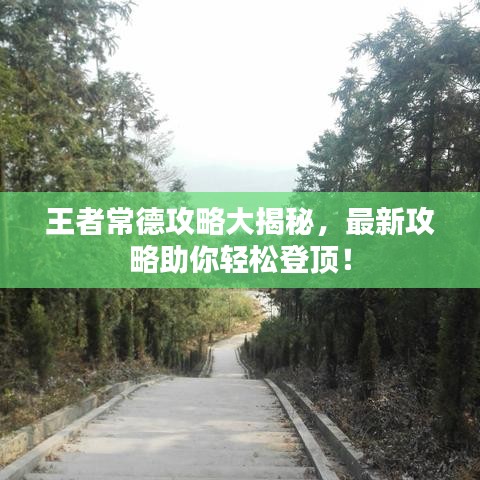 王者常德攻略大揭秘，最新攻略助你轻松登顶！