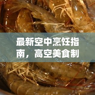 最新空中烹饪指南，高空美食制作的艺术与技巧