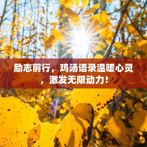成功案例 第14页