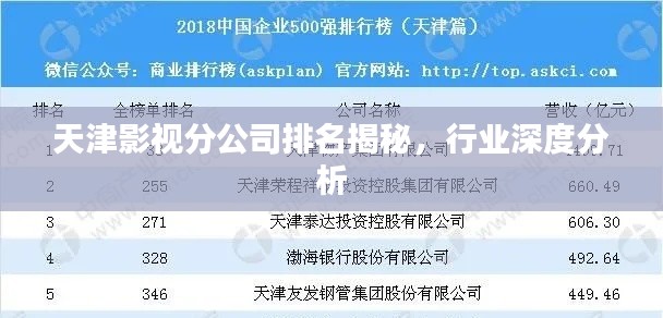 天津影视分公司排名揭秘，行业深度分析
